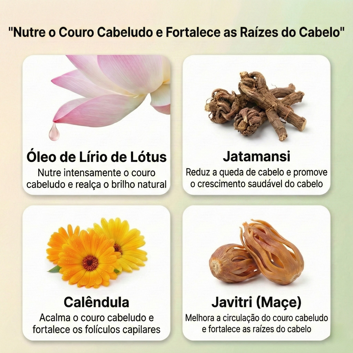 Óleo capilar ayurvédico com 11 ervas para cabelos mais fortes, frizz controlado e brilho radiante.